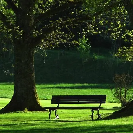 Am Rosengarten Bad Wimpfen