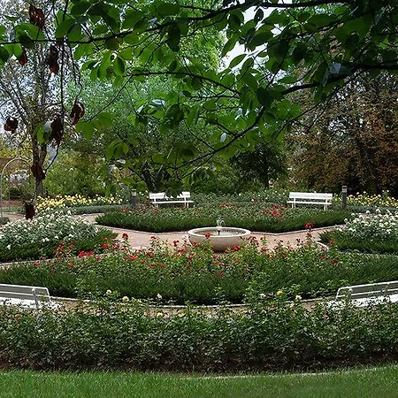 Am Rosengarten فندق