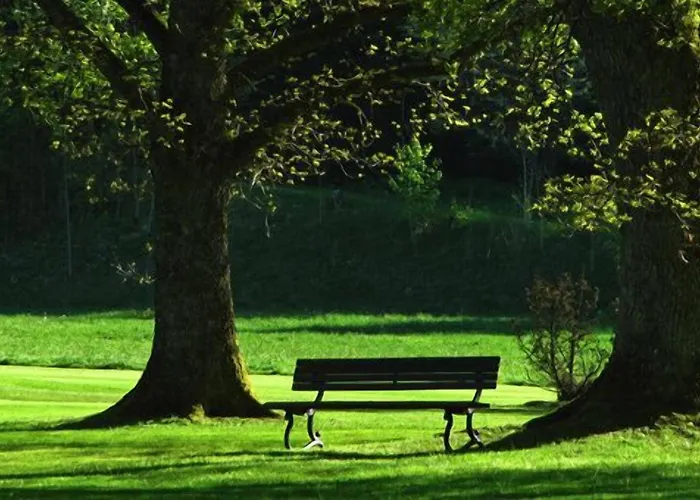 Am Rosengarten Bad Wimpfen
